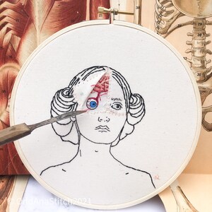 Embroidery kit, Hand Embroidery Kit, Anatomy Art, Vintage Anatomy, Eyeball Art