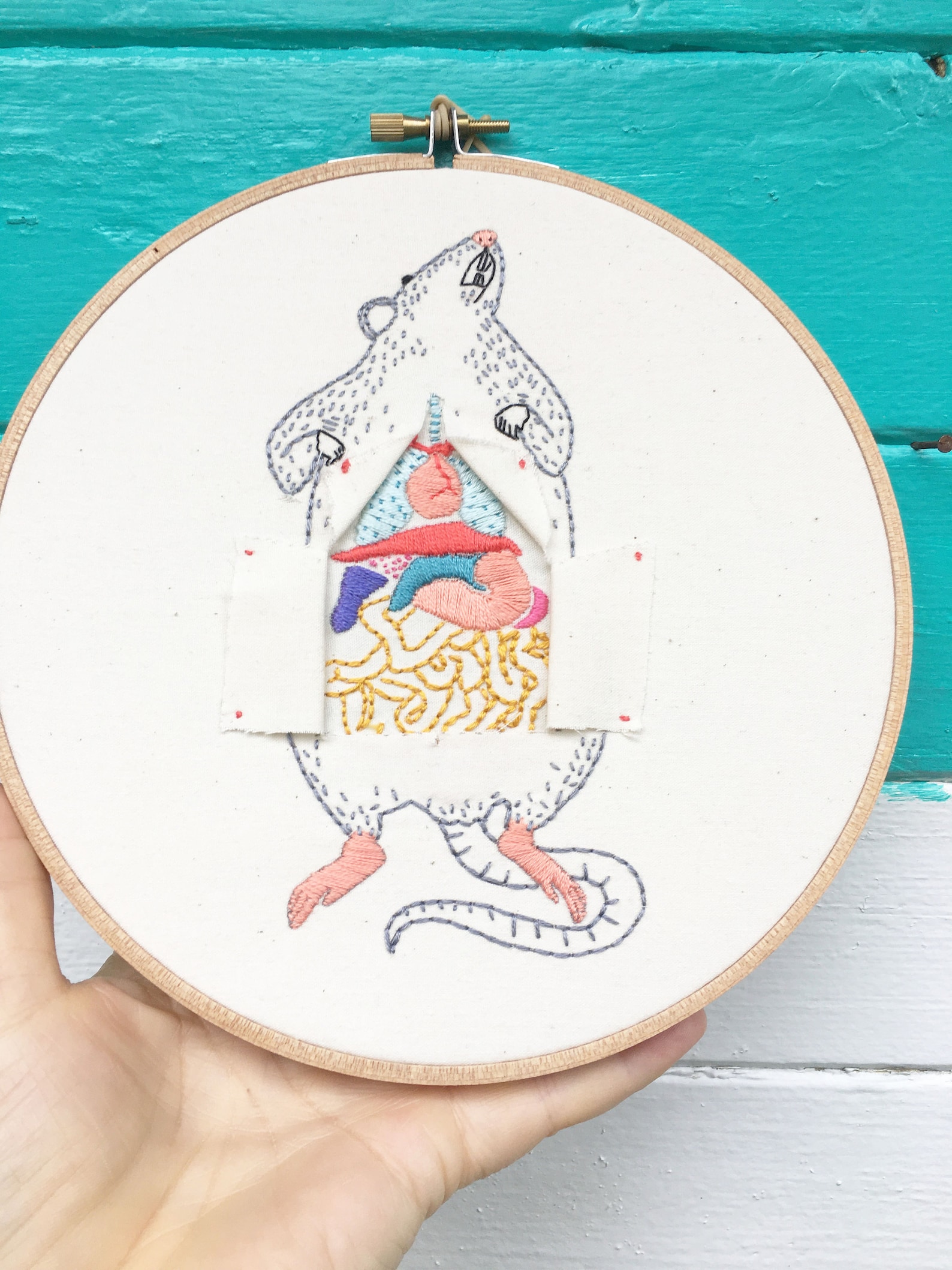 Hand Embroidery Pattern, Rat Dissection Pattern, Science Pattern ...