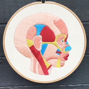Hand Embroidery Pattern, Embroidery Pattern, Face Muscles Embroidery Pattern image 1