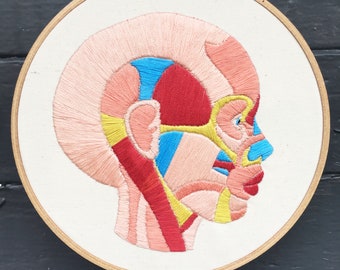 Hand Embroidery Pattern, Embroidery Pattern, Face Muscles Embroidery Pattern