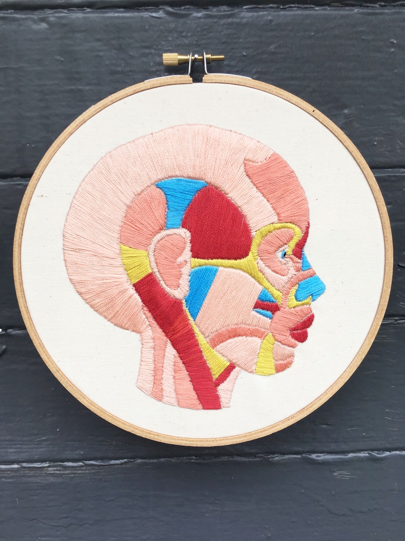 Hand Embroidery Pattern, Embroidery Pattern, Face Muscles Embroidery Pattern image 1