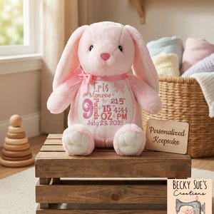 Personalized stuffed animal, birth announcement bunny rabbit, birth stats, new baby gift idea, woodland nursery theme, unique present