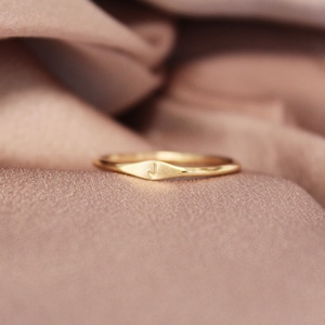Signet Ring Aangepaste initiële ring Eerste ring Gepersonaliseerde Signet Ring 14k Gold Signet Ring Gouden stapelring Goud gevulde ring afbeelding 3