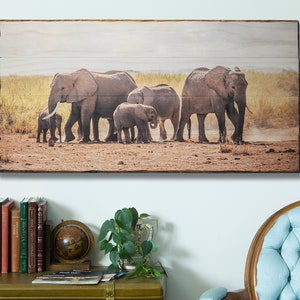 Custom Photo on Wood for Nature Photography Prints and Gifts and Rustic Home Decor Picture Pallets