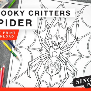 Printable Coloring Page for Grownups - Spider Single