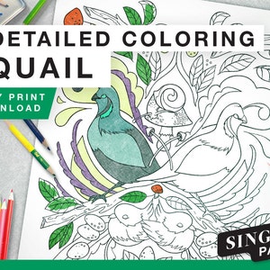 Printable Coloring Page for Grownups - Quail Bird Woodland Animal Single