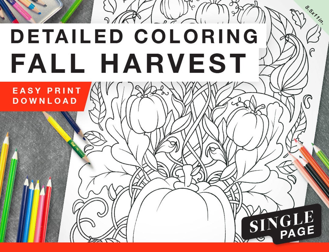 Printable Coloring Page for Grownups - Pumpkin Harvest Fall Single - Etsy