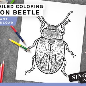 Printable Coloring Page for Grownups - Moon Beetle Instant Download