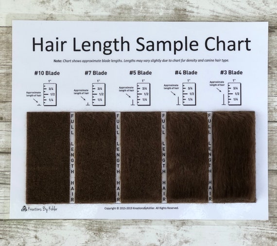 Hair Length Chart Clippers