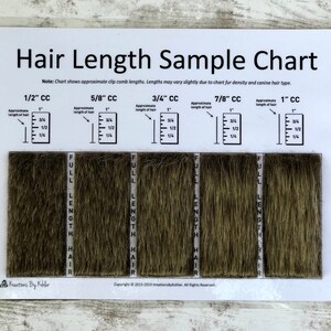 Clip Comb Sample Chart for Grooming | Etsy