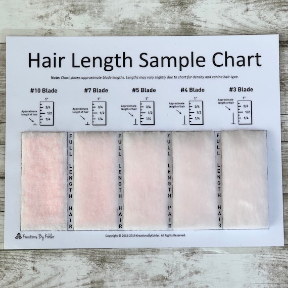 Shave Blade Sample Chart for Grooming