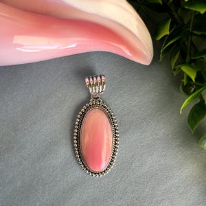 Pink Queen Conch Shell Sterling Silver Oval Pendant