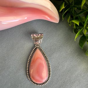Pink Queen Conch Shell Sterling Silver Teardrop Pendant