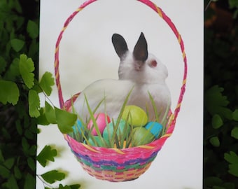 Bunny in Basket Printable Easter Card