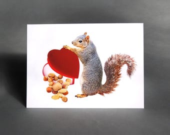 Squirrel with Heart Box of Nuts Valentines Card