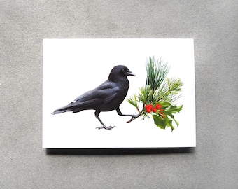 Crow with Evergreens Holiday Card