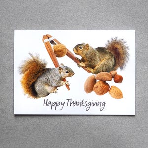 Carte de Thanksgiving Les écureuils craquent des noix