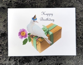 Può includere: Una colomba bianca con un cappello da festa si siede su una scatola regalo avvolta con un nastro verde. Un fiore rosa con foglie verdi è dietro la colomba. La carta dice "Buon compleanno".