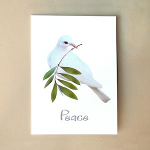Peace Dove Holiday Card