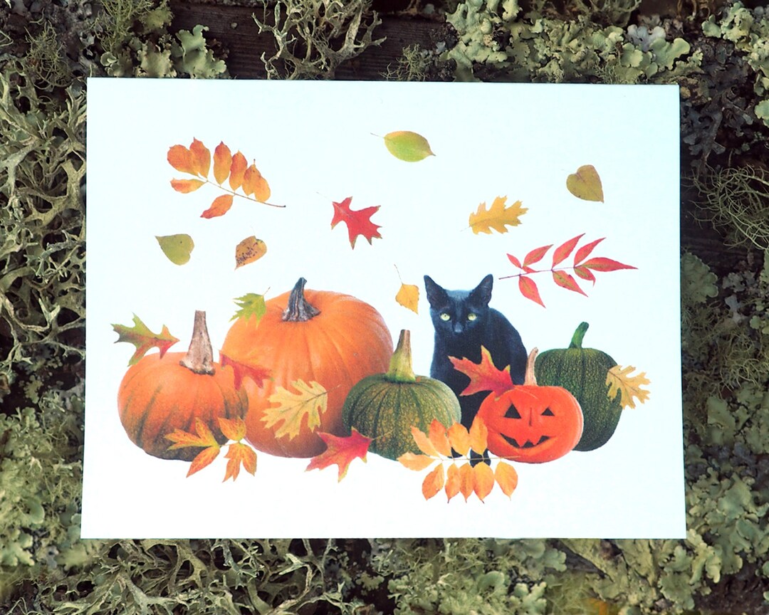Printable Black Cat With Pumpkins and Fall Leaves Card, Halloween ...
