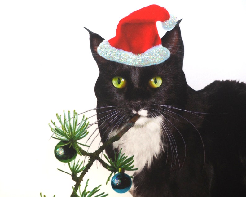 Tuxedo Cat With Christmas Tree Card Christmas Cat Glitter Etsy