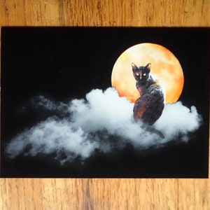 May include: A black cat sits on a white cloud in front of a large, orange moon. The background is black.