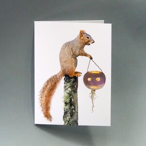 May include: A greeting card featuring a detailed illustration of a squirrel perched on a tree stump. The squirrel holds a purple turnip carved with a face. The card has a white background and a gray border.