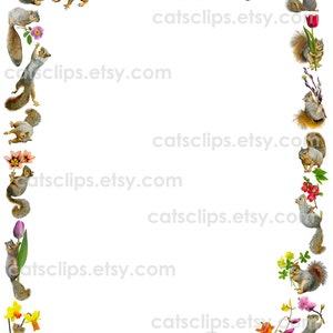 Squirrels With Flowers Digital Border, Printable Squirrel Border - Etsy