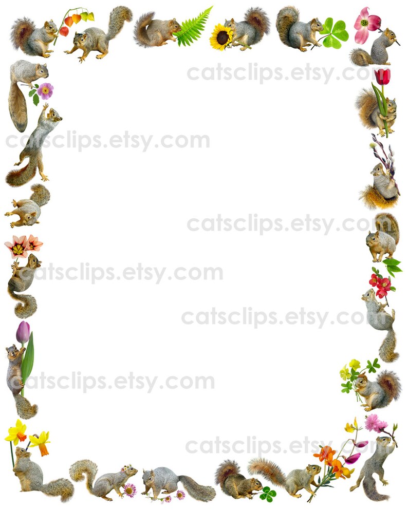 Squirrels With Flowers Digital Border Printable Squirrel - Etsy