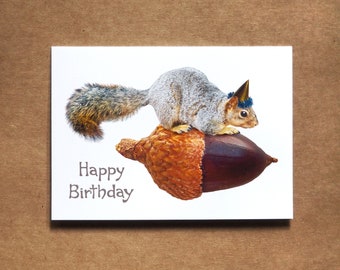 Squirrel on Acorn Birthday Card