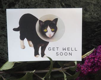Cat in Cone Printable Get Well Card (Digital Download)