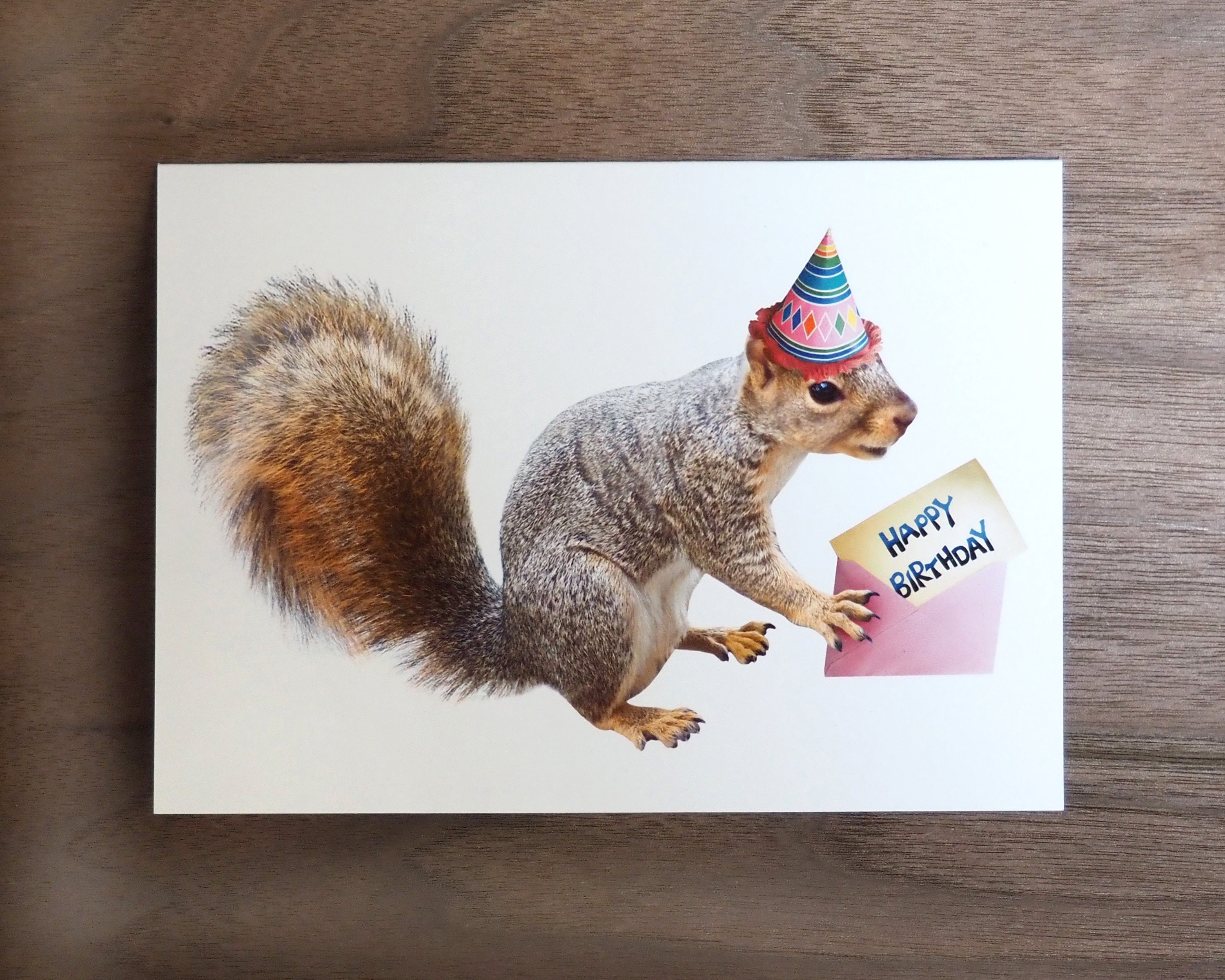 Hallmark Shoebox Funny Birthday Card For Men Squirrel With Nutcracker