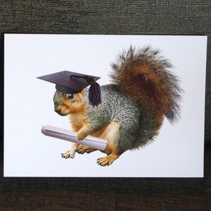 Squirrel Graduation Card