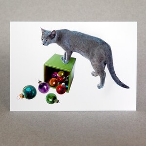 Cat with Box of Ornaments Christmas Card