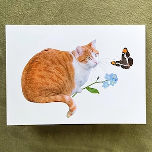 Carte chat orange avec fleurs et papillon