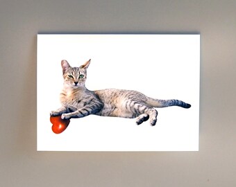 Tabby Cat Heart Valentines Card