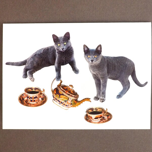 Gray Cats Having Tea Card