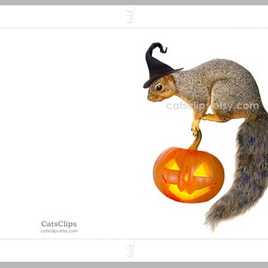 Witch Squirrel with Jack-o-Lantern Printable Halloween Card, Digital Squirrel Halloween Card image 6