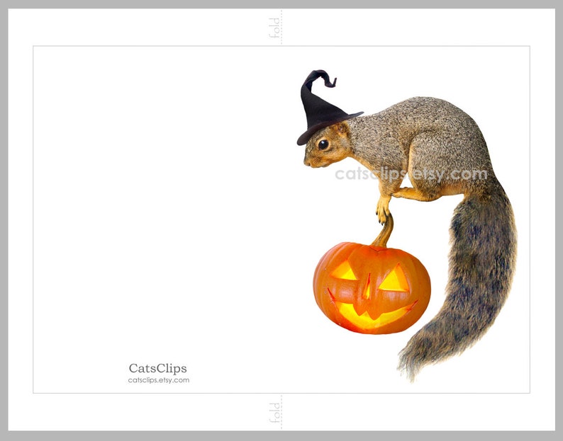 Witch Squirrel with Jack-o-Lantern Printable Halloween Card, Digital Squirrel Halloween Card image 6