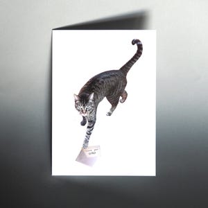Carte pour la fête des pères, papa chat tigré