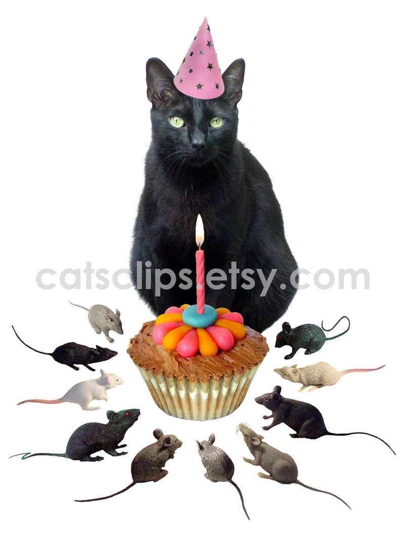 Black Cat Rats Printable Happy Birthday Card Etsy