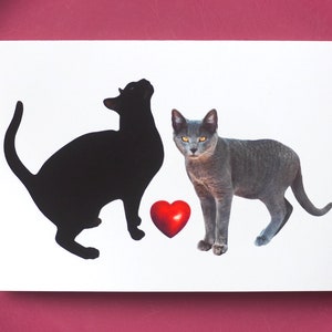 Carte coeur rouge 2 chats, carte Saint Valentin amour chat