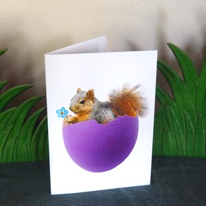 May include: A greeting card featuring a squirrel sitting inside a purple egg shell, holding a blue flower. The squirrel has a bushy tail and is looking at the flower.