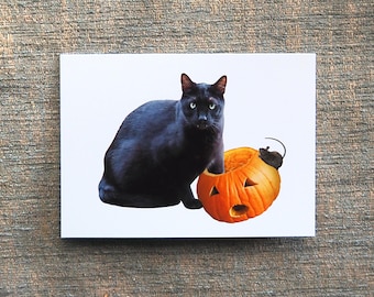 Black Cat and Rat with Jack-o-Lantern Halloween Card