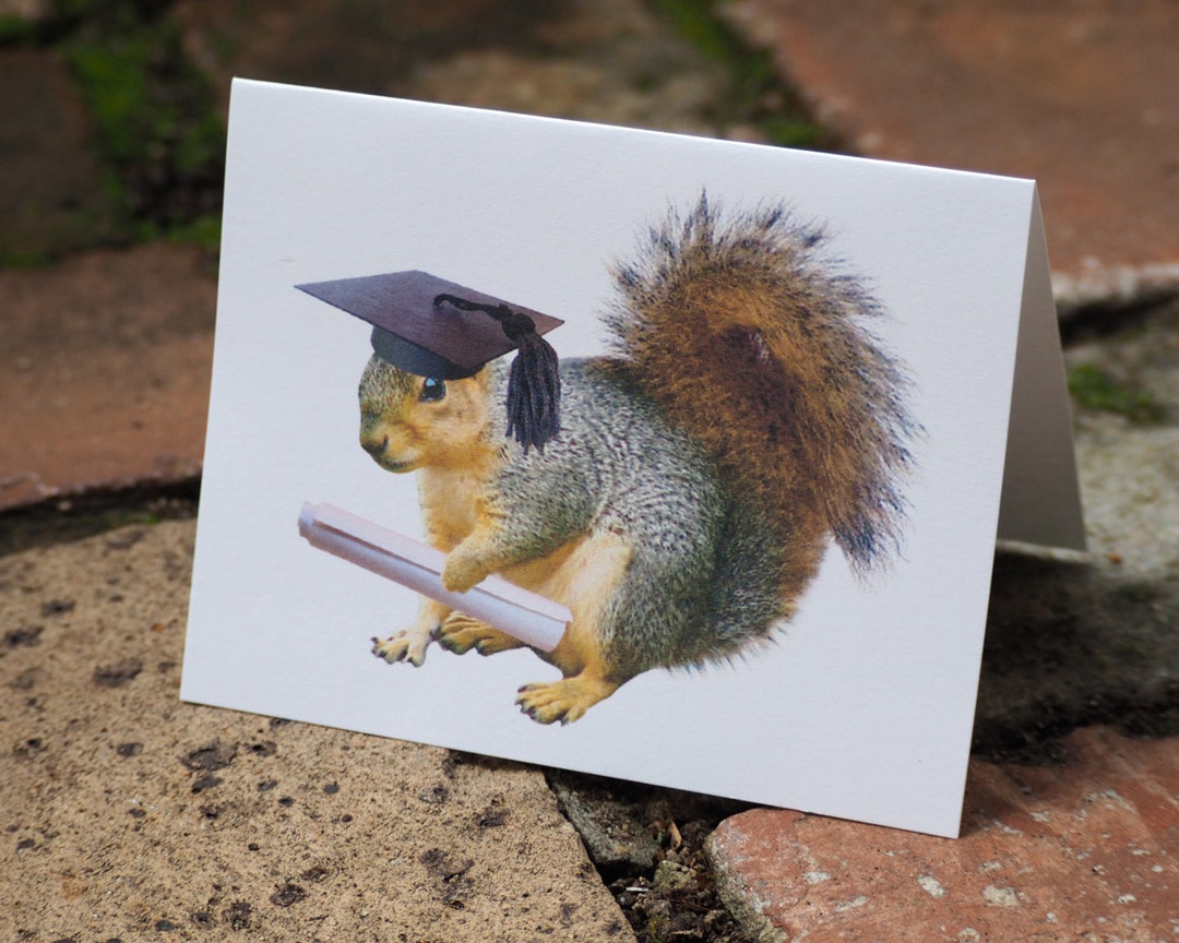 Squirrel Grad Printable Graduation Card - Etsy