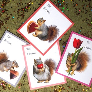 Cartes scolaires imprimables pour la Saint-Valentin, écureuils