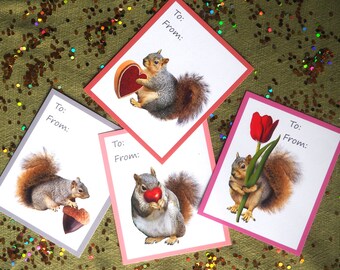 Squirrels Printable School Valentine Cards