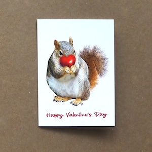 May include: A gray squirrel holding a red heart in its paws. The squirrel is looking at the camera. The text "Happy Valentine's Day" is written below the squirrel.