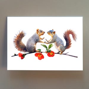 Carte d'anniversaire Écureuils sur fleurs de coing