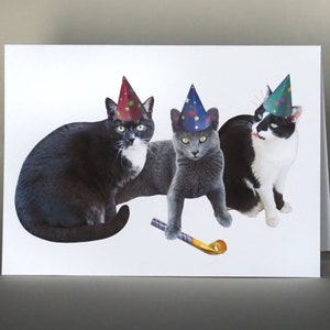 Party Cats Birthday Card, Cats New Year Card